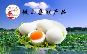 微山湖經(jīng)貿(mào)——一樣的海洋，不一樣的集結(jié)號