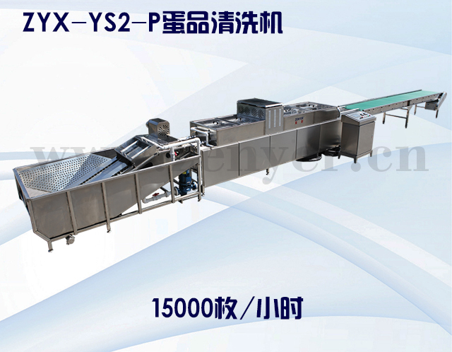 ZYX-YS2-P蛋品清洗機(jī).jpg