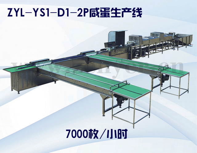 ZYL-YS1-D1-2P咸蛋生產(chǎn)線(xiàn).jpg