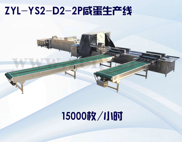 ZYL-YS2-D2-2P咸蛋生產(chǎn)線(xiàn).jpg