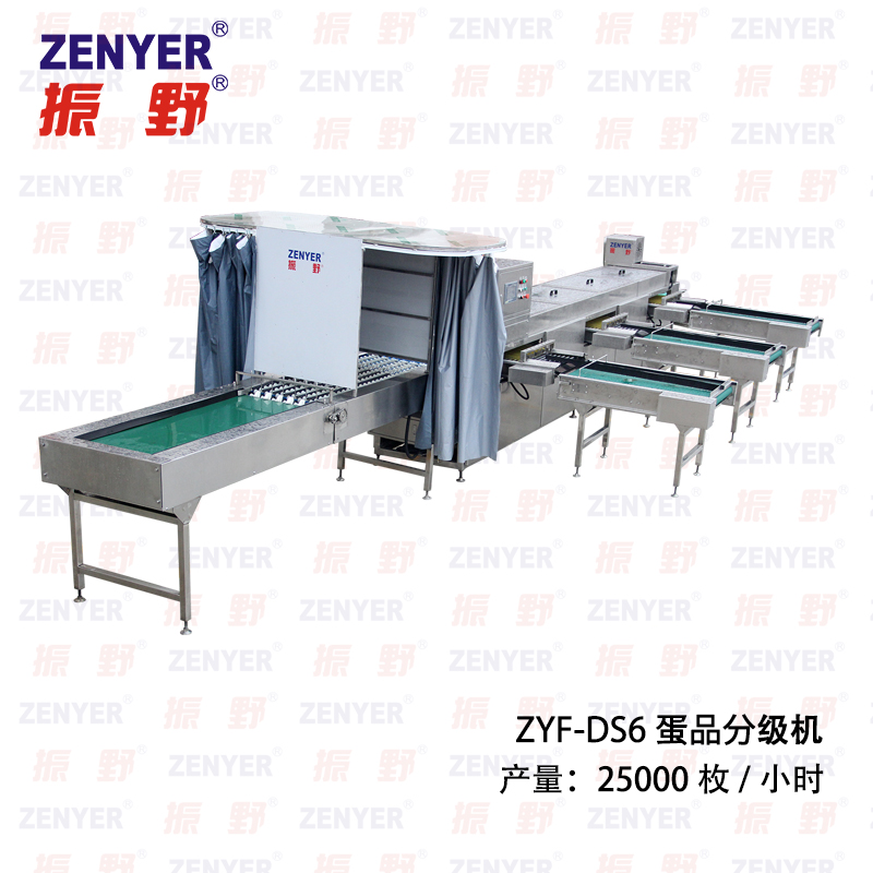 ZYF-DS6蛋品分級(jí)機(jī).jpg