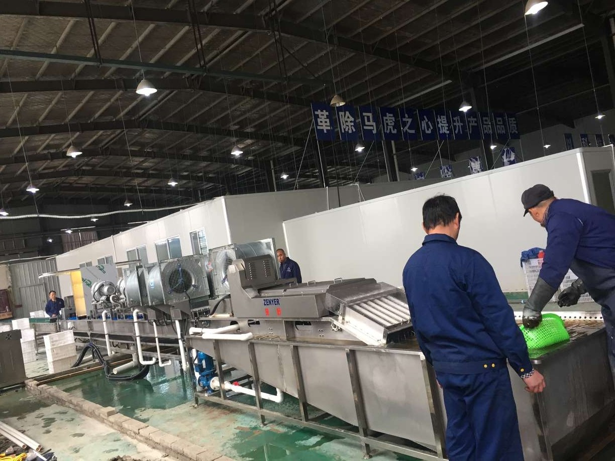 振野皮蛋清洗機(jī)之安徽九只鴨使用現(xiàn)場(chǎng)