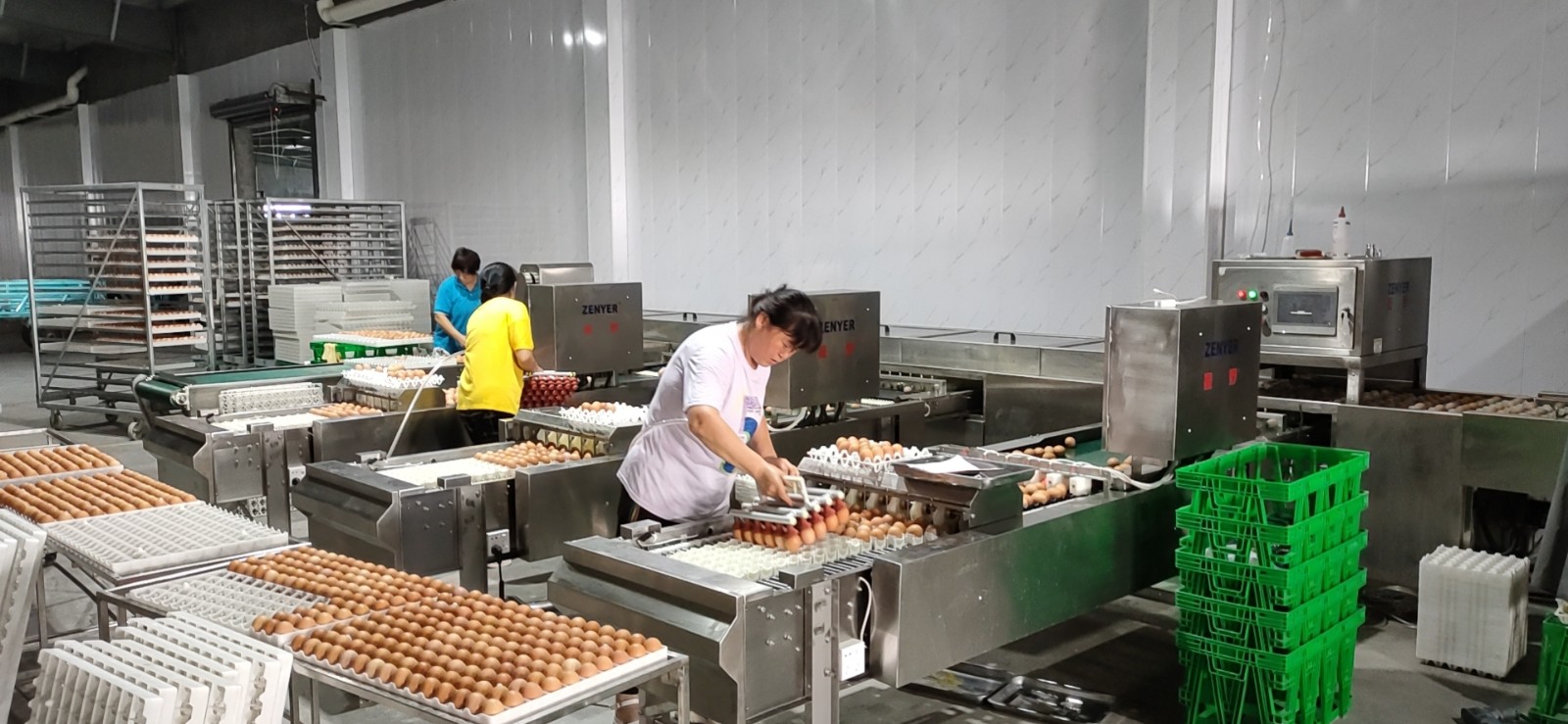 青島寶祺種蛋消毒清洗分級(jí)收集生產(chǎn)線應(yīng)用現(xiàn)場(chǎng)！